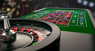 6655bet5