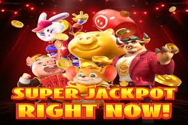 6655bet5